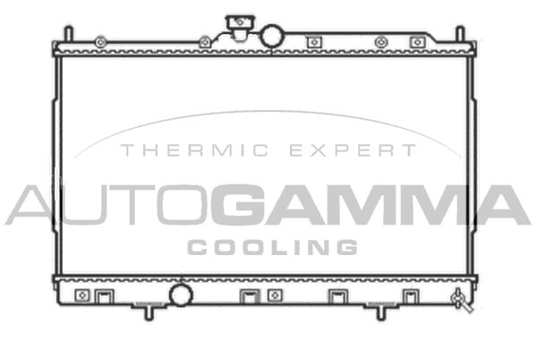 AUTOGAMMA Радиатор, охлаждение двигателя 105051