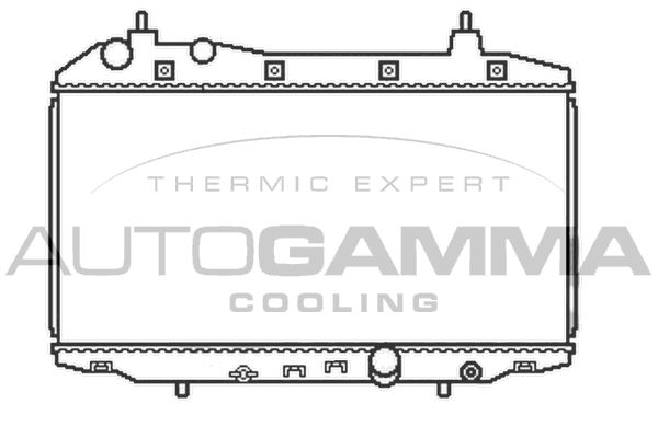 AUTOGAMMA Радиатор, охлаждение двигателя 105106