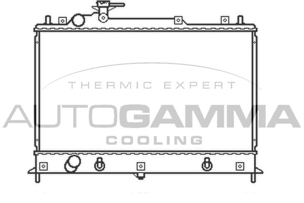 AUTOGAMMA Радиатор, охлаждение двигателя 105166