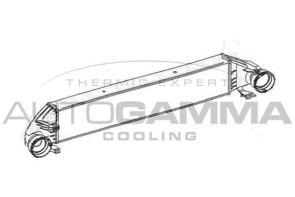 AUTOGAMMA Интеркулер 105558