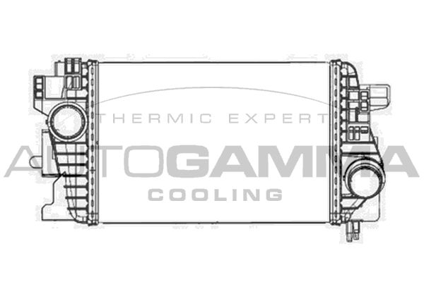 AUTOGAMMA Интеркулер 105631