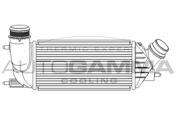 AUTOGAMMA Интеркулер 105720