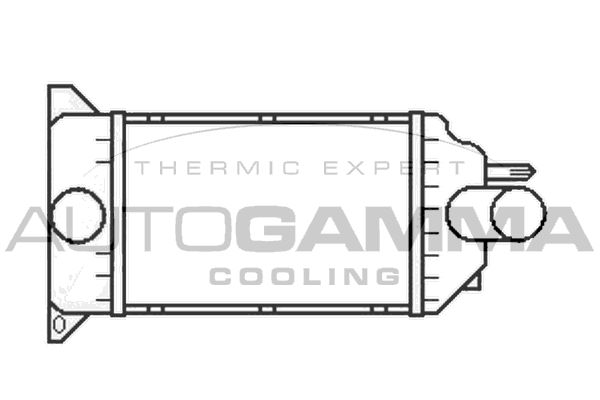 AUTOGAMMA Интеркулер 105723