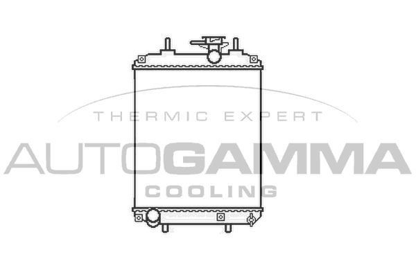 AUTOGAMMA Радиатор, охлаждение двигателя 105790