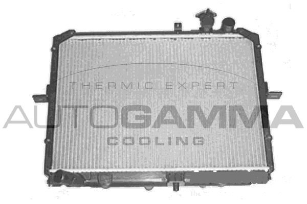 AUTOGAMMA Радиатор, охлаждение двигателя 105801