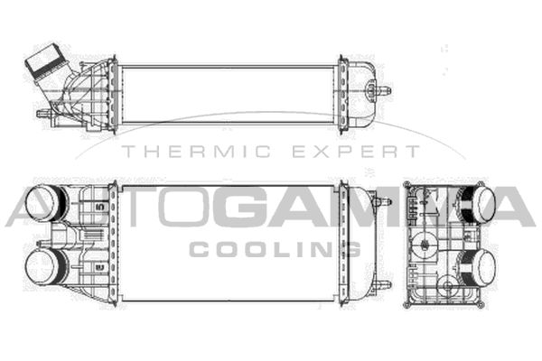 AUTOGAMMA Интеркулер 105995