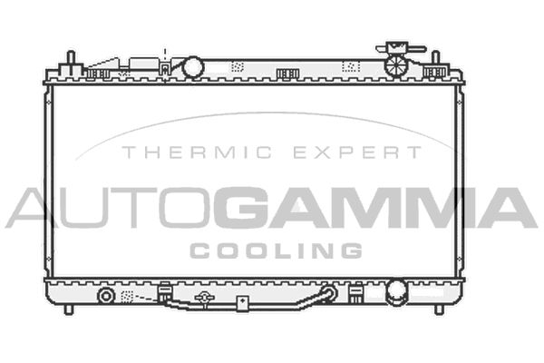 AUTOGAMMA Радиатор, охлаждение двигателя 107061