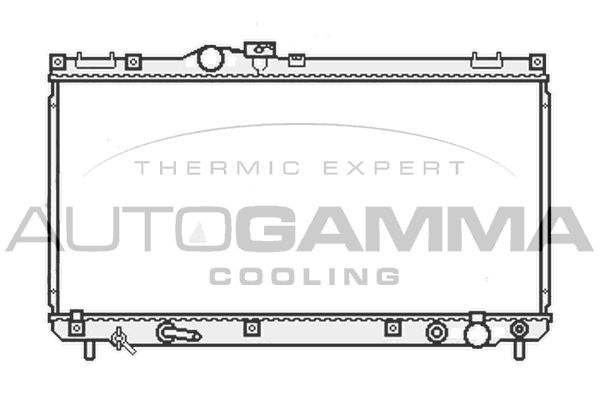 AUTOGAMMA Радиатор, охлаждение двигателя 107063