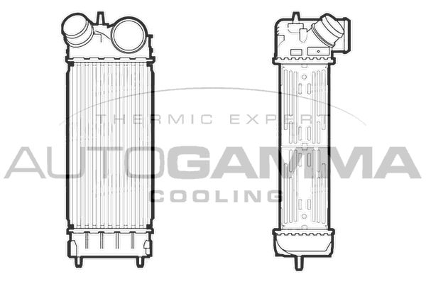 AUTOGAMMA Интеркулер 107116