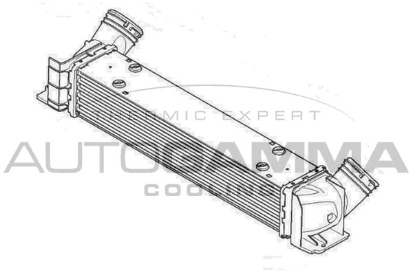 AUTOGAMMA tarpinis suslėgto oro aušintuvas, kompresorius 107335