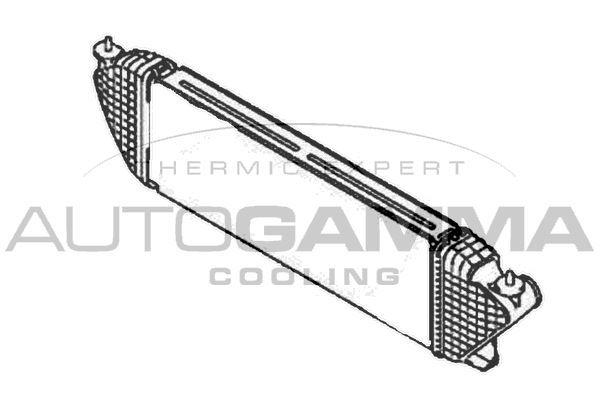 AUTOGAMMA Интеркулер 107338