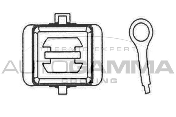 AUTOGAMMA Вентилятор, охлаждение двигателя GA200428