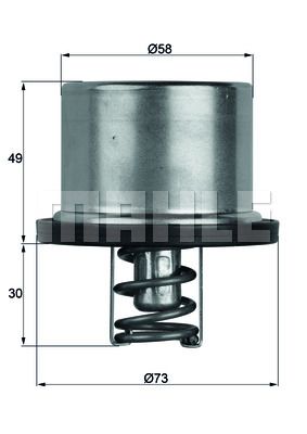 BEHR termostatas, aušinimo skystis TX 37 79