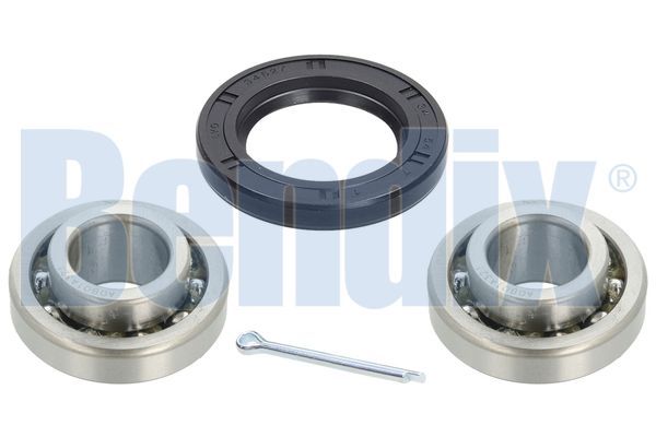 BENDIX rato guolio komplektas 050316B