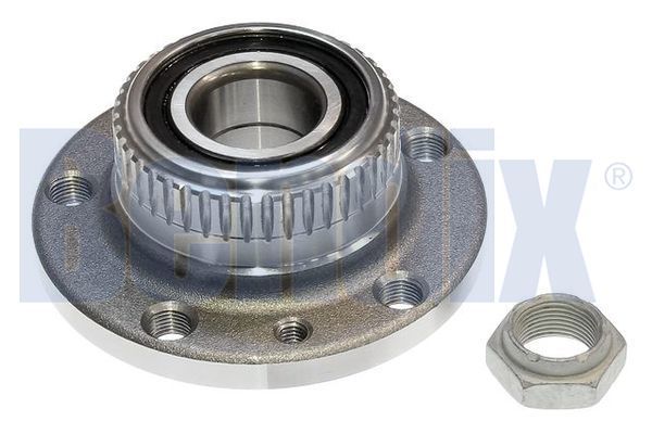 BENDIX rato guolio komplektas 050839B