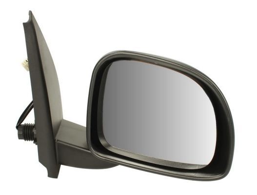 BLIC išorinis veidrodėlis 5402-04-1112934P