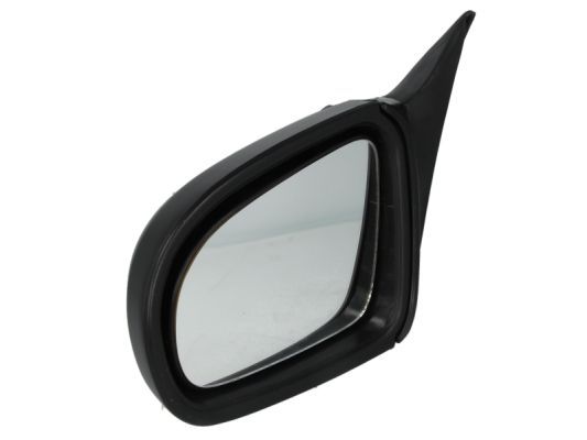 BLIC išorinis veidrodėlis 5402-04-1125216P