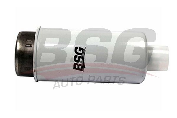 BSG Топливный фильтр BSG 30-130-010
