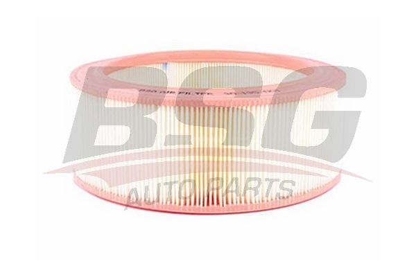 BSG oro filtras BSG 30-135-001