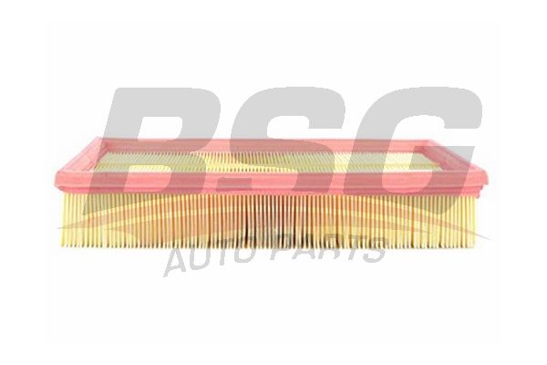 BSG oro filtras BSG 30-135-002