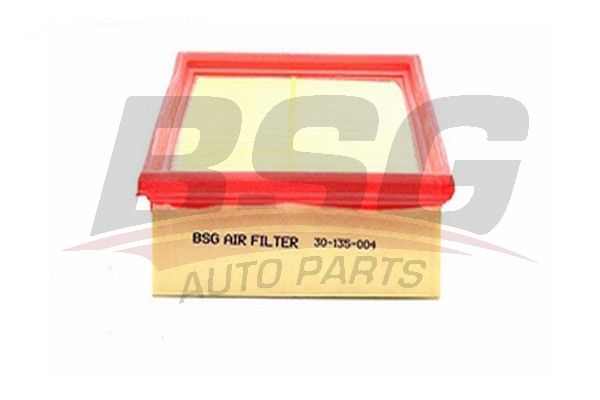 BSG oro filtras BSG 30-135-004