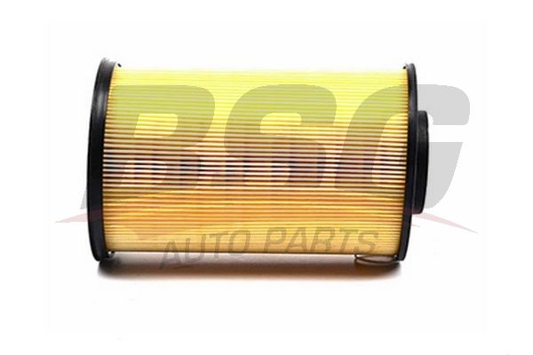 BSG oro filtras BSG 30-135-014