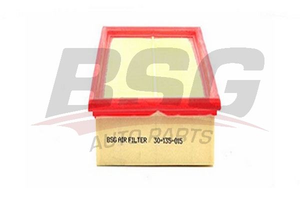 BSG oro filtras BSG 30-135-015