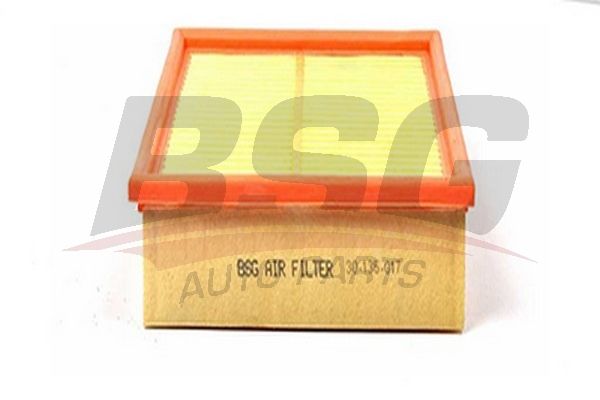 BSG oro filtras BSG 30-135-017
