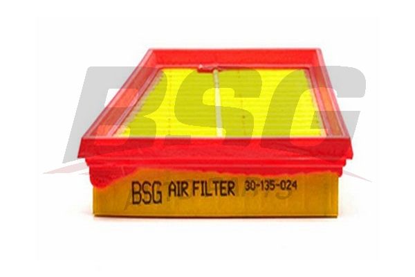 BSG oro filtras BSG 30-135-024
