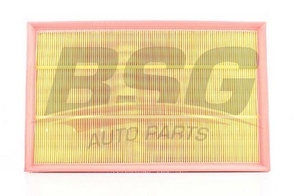 BSG oro filtras BSG 60-135-002