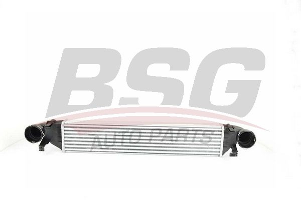 BSG tarpinis suslėgto oro aušintuvas, kompresorius BSG 60-535-001
