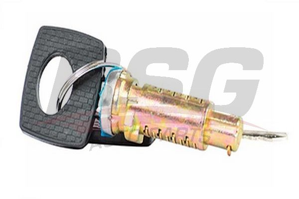 BSG užrakto cilindras BSG 60-856-001