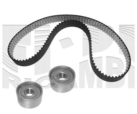 CALIBER paskirstymo diržo komplektas 0194KF