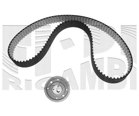 CALIBER paskirstymo diržo komplektas 0256KW