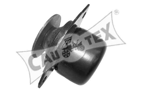 CAUTEX variklio montavimas 460904