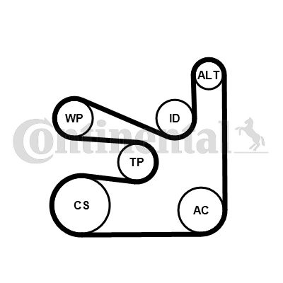 CONTITECH vandens siurblys + V formos rumbuotas diržas, komp 6PK1660WP2
