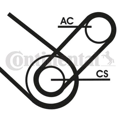 CONTITECH skriemulys, alkūninis velenas VD1098