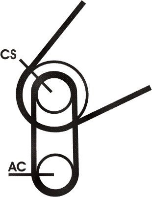 CONTITECH skriemulys, alkūninis velenas VD1115