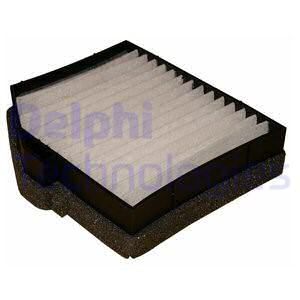 DELPHI filtras, salono oras TSP0325251