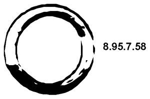EBERSPÄCHER Уплотнительное кольцо, труба выхлопного газа 8.95.7.58