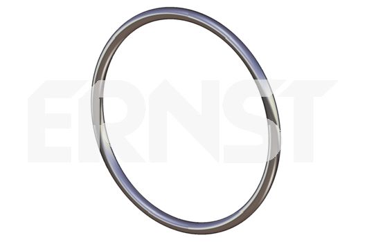 ERNST Уплотнительное кольцо, труба выхлопного газа 492201