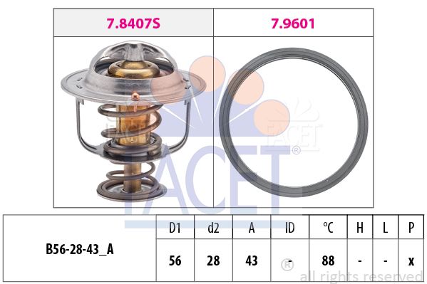 FACET termostatas, aušinimo skystis 7.8408