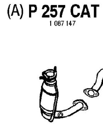 FENNO katalizatoriaus keitiklis P257CAT