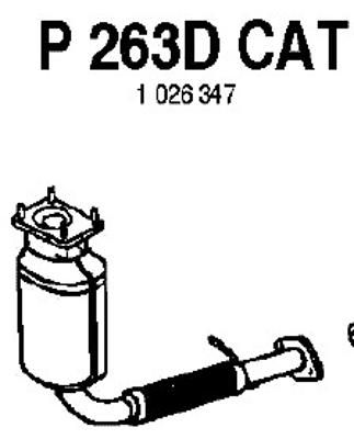FENNO katalizatoriaus keitiklis P263DCAT