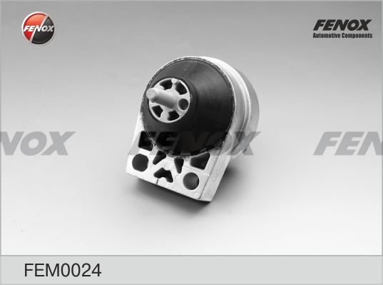 FENOX variklio montavimas FEM0024