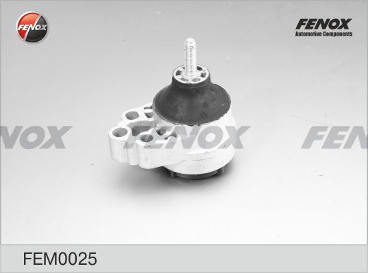 FENOX variklio montavimas FEM0025