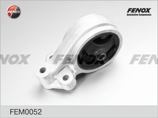 FENOX variklio montavimas FEM0052
