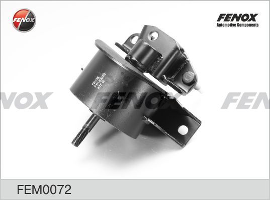 FENOX variklio montavimas FEM0072