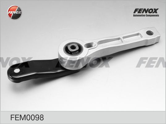 FENOX variklio montavimas FEM0098