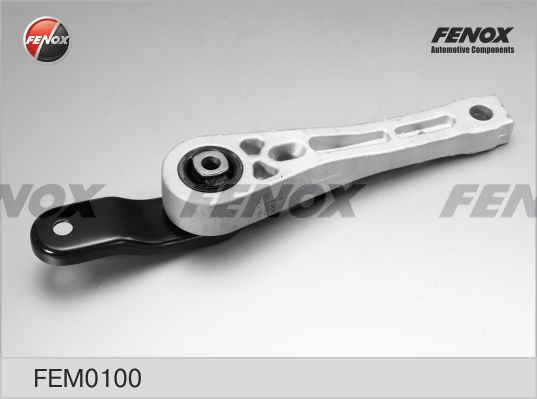 FENOX variklio montavimas FEM0100